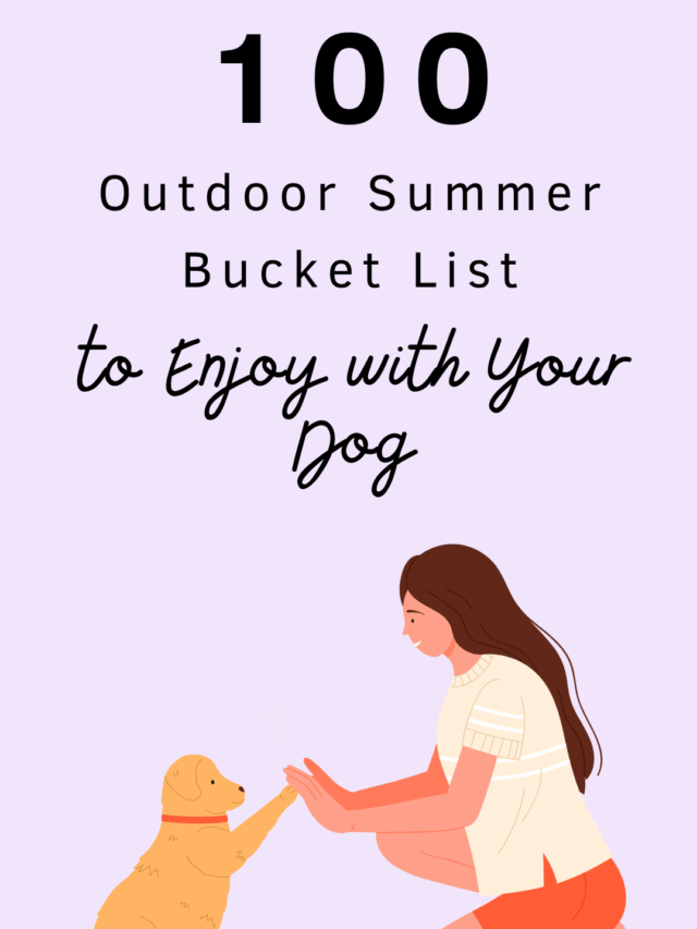 outdoor-summer-bucket-list-for-dog-moms